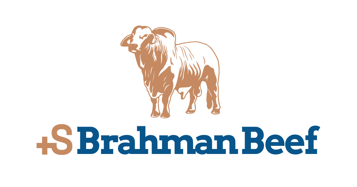 +SBrahman Beef