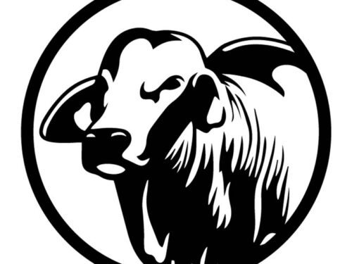 Brahman beef logo